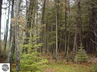 0 Pine Acres Rd, Glennie, MI 48737