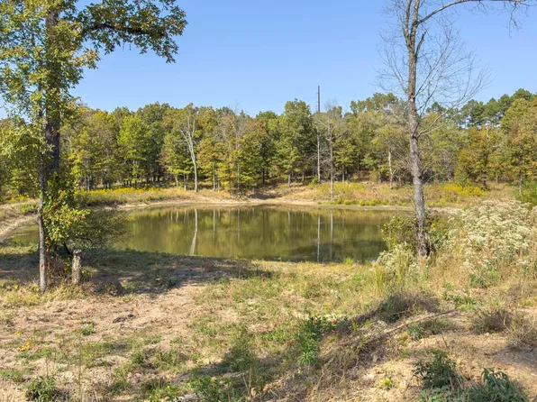 Polk Rd #420, Mena, AR 71953