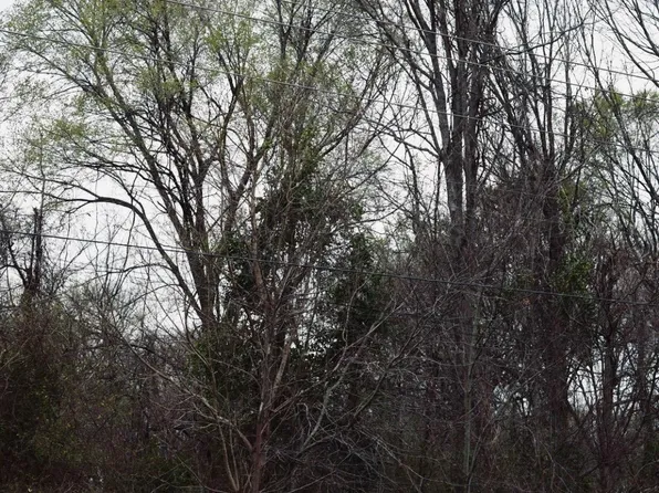 0 Highway 562, Wisner, LA 71378