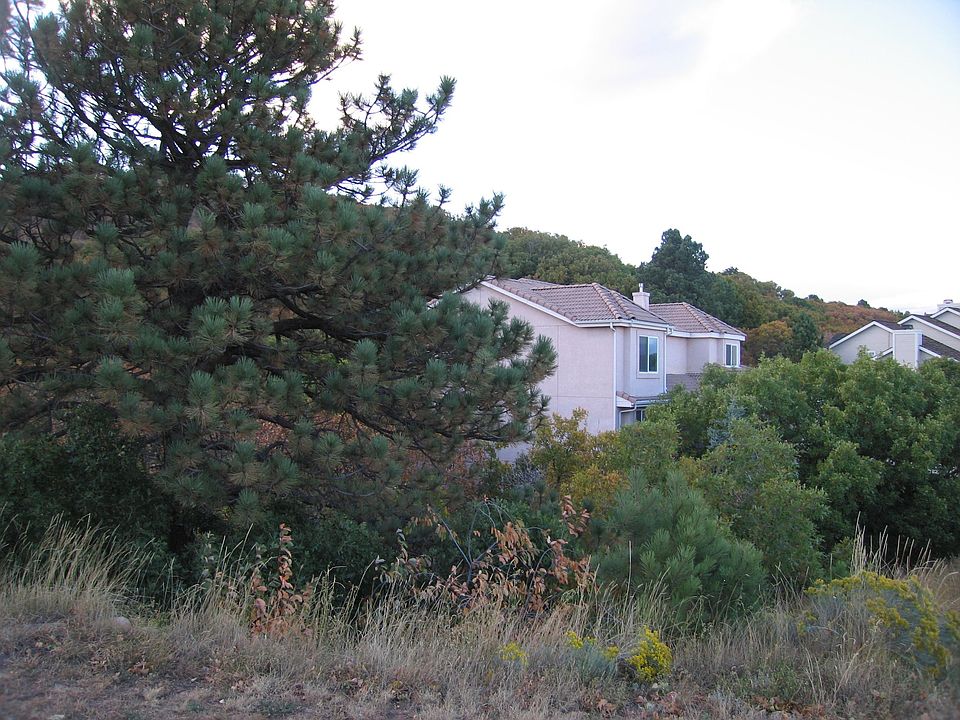 Side View, fall