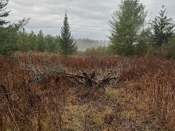 2nd image of 188 W Procunier Rd