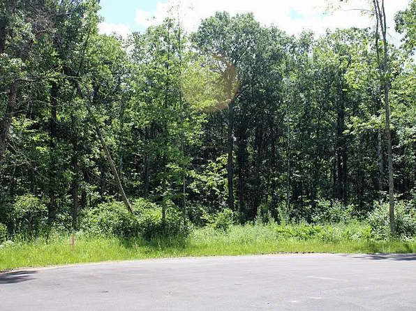 Xxx19 My Abbys Way Ln SW, Pequot Lakes, MN 56472