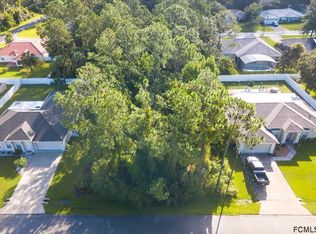 40 Palm Leaf Ln, Palm Coast, FL 32164