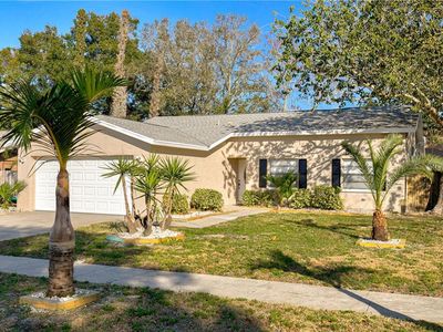 2639 Knoll St E, Palm Harbor, FL, 34683