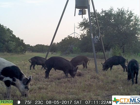 3rd image of 240 County Road 315 S