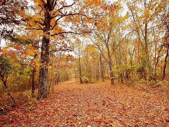 4th image of County Road 209