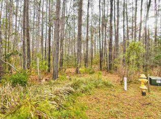 198 Joanna Gillard Ln, Georgetown, SC 29440