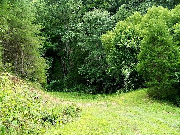 Site of second pond on property for sale