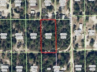 6679 W Mable Ln, Dunnellon, FL 34433