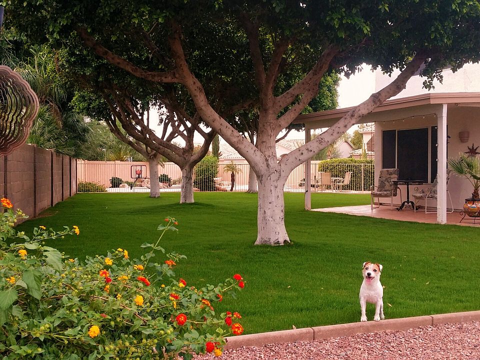 2nd image of 7141 W La Senda Dr