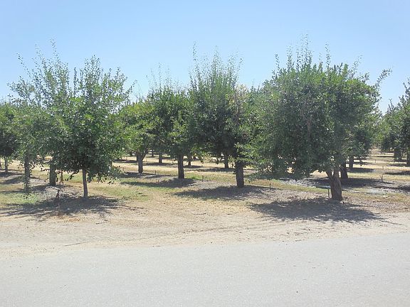 4th image of 2200 Encinal Rd