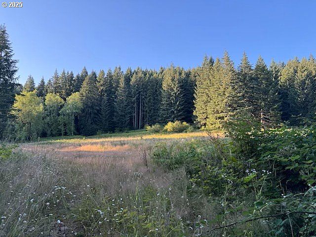 2nd image of 19331 SE Heuke Rd