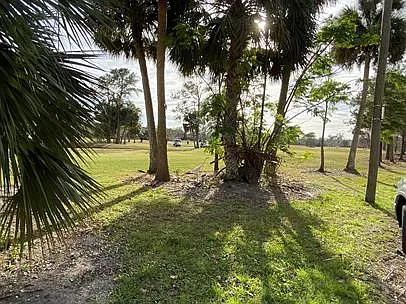 View of golf course