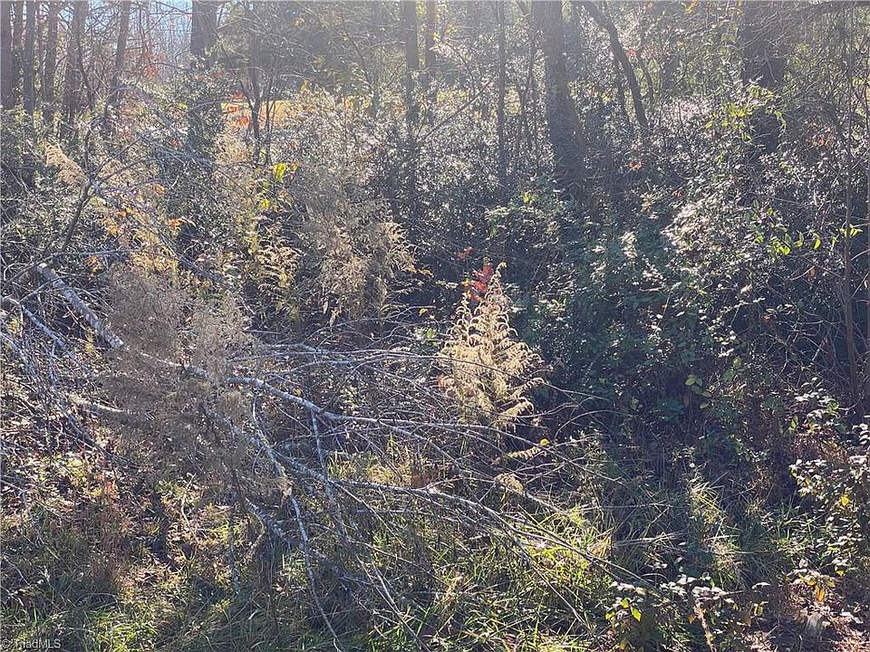 2nd image of 0 Hopkins Rd