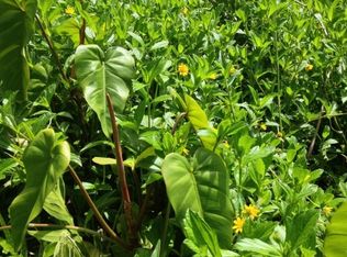 11th Ave LOT 1467, Keaau, HI 96749