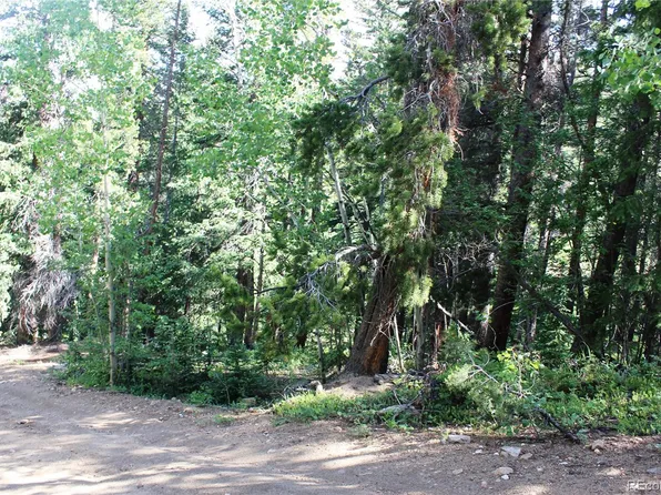 00 Sunflower Road, Black Hawk, CO 80422