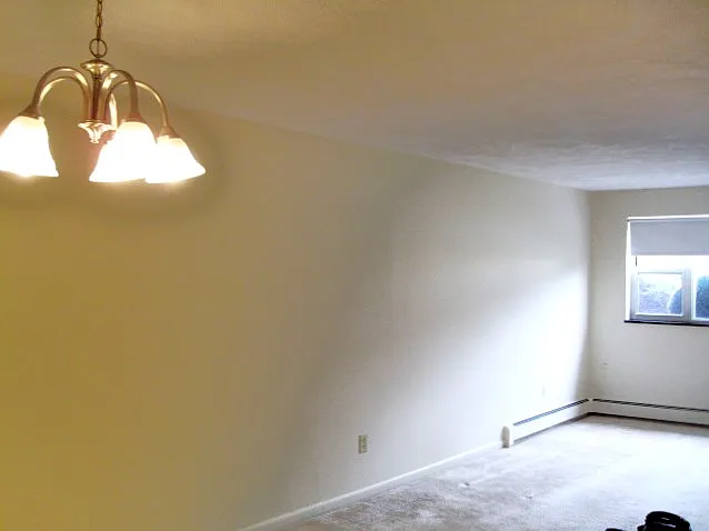 1 bed, 800 sqft, $2,250 — Photo 4