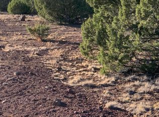 41 County Rd #337, Concho, AZ 85924