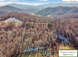 Tbd Roaring Branch Rd, Lansing, NC 28643