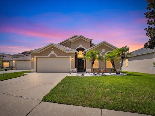 11115 Silver Dancer Dr, Riverview, FL 33579