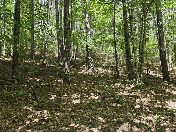 4th image of 0 County Rd Lot 5-6