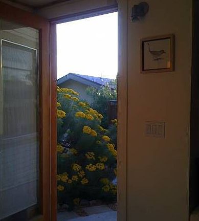 Inside looking out