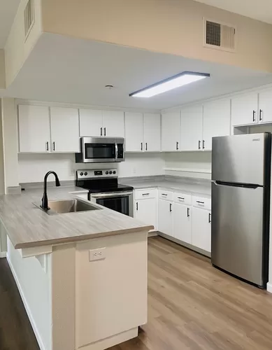 Stainless Steel Appliances - Luxe Apartments
