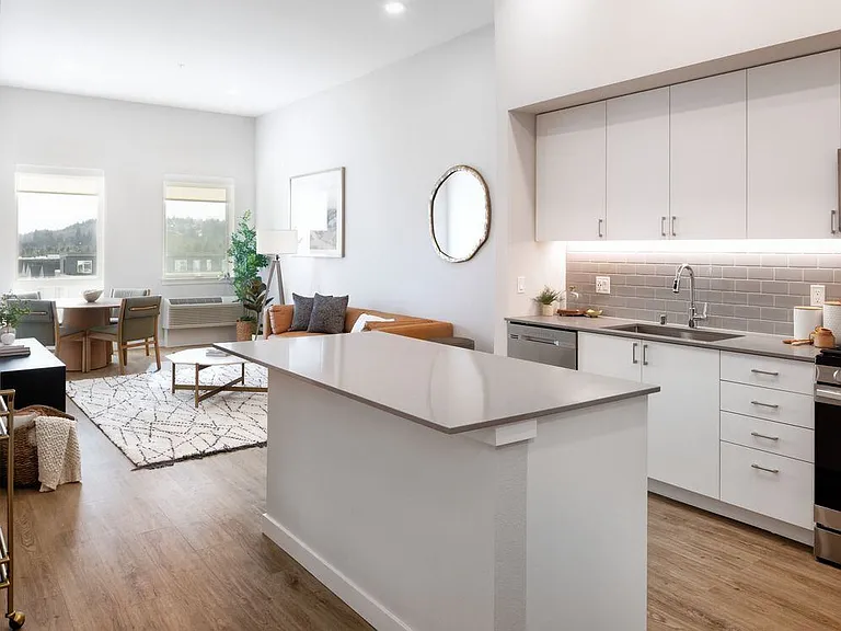 Kitchen and living room with hard surface flooring