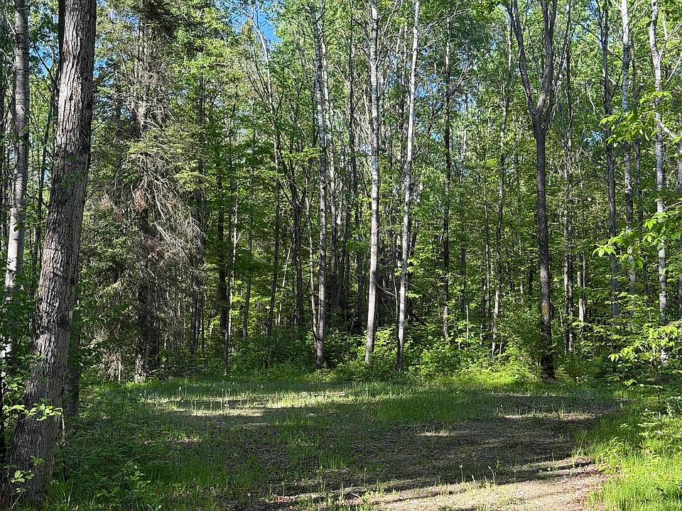 1st image of Dream Lake Rd #2