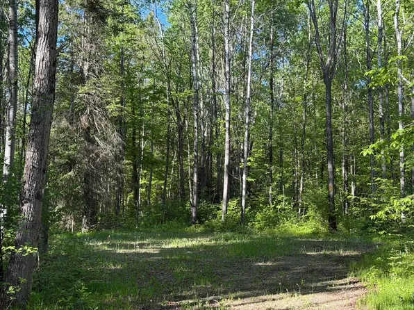 Dream Lake Rd #2, Long Lake, WI 54542