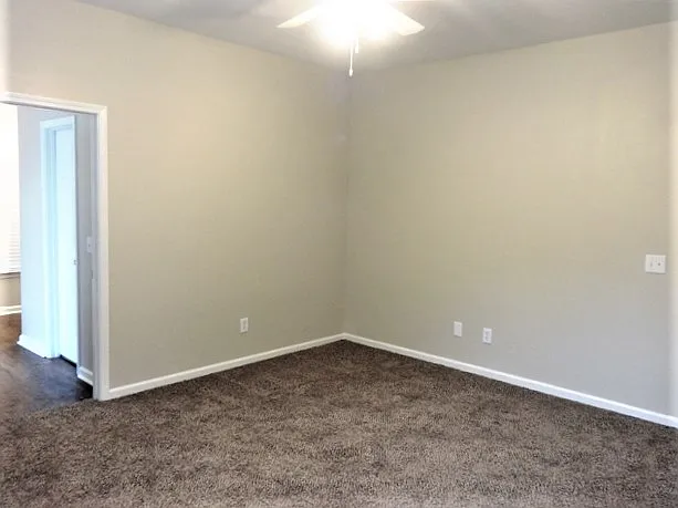 245 Old Savannah Dr — Photo 11