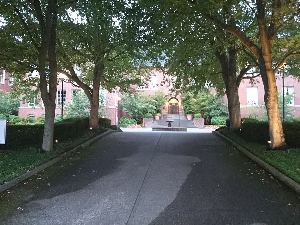 2nd image of 1401 5th Ave N #313