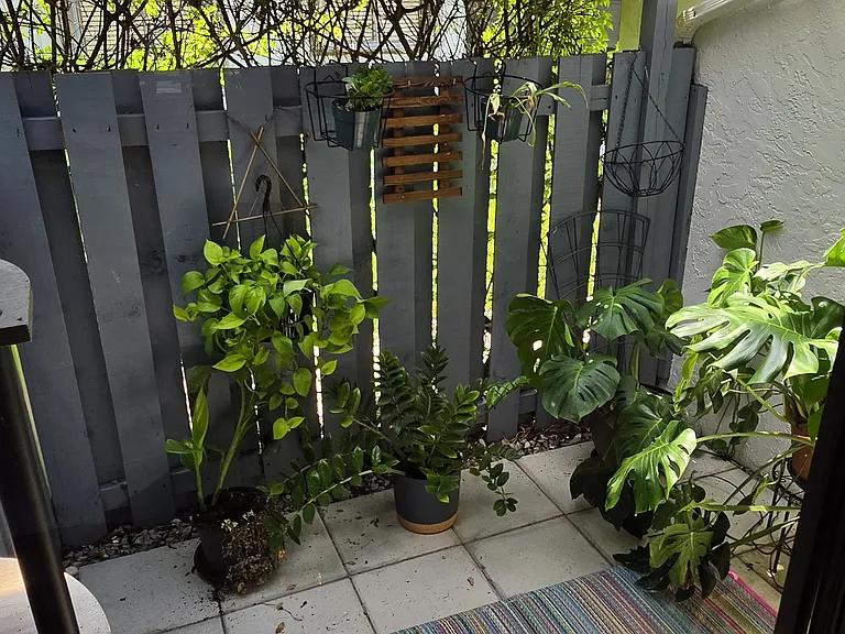 Thomas St — Photo 35