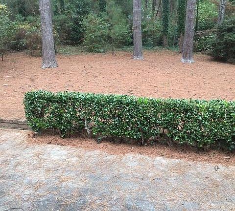 Private Backyard with Patio