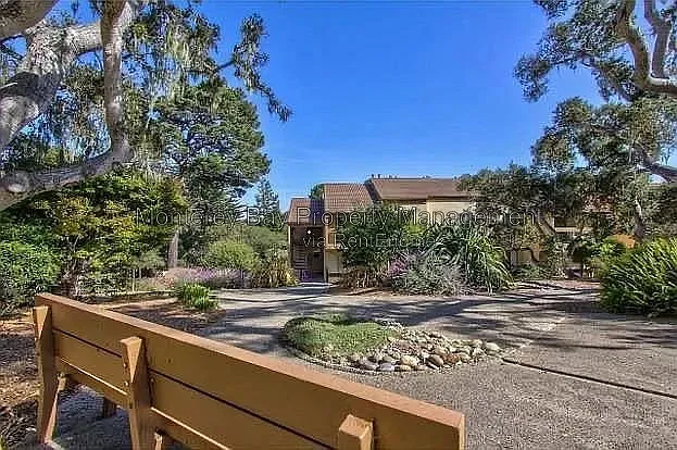 3103 Golden Oaks Ln — Photo 19