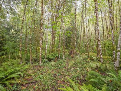 Sec 34 Twn 4n Rng #2W, Scappoose, OR, 97056