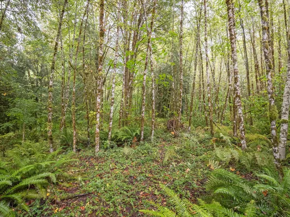 Sec 34 Twn 4n Rng #2W, Scappoose, OR 97056