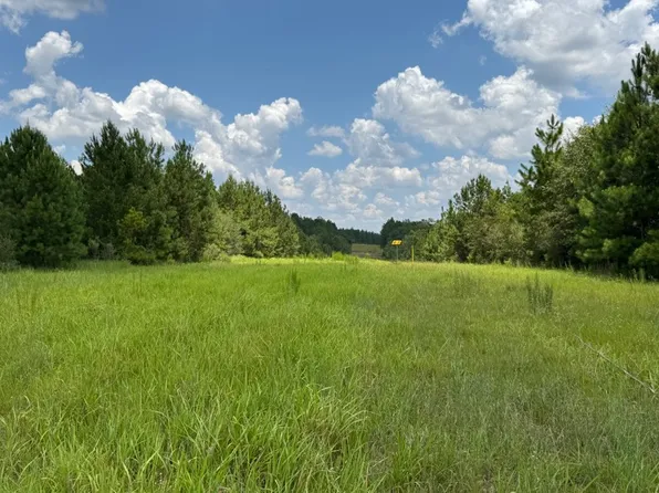0 Bluett Tanner Rd, Wilmer, AL 36587