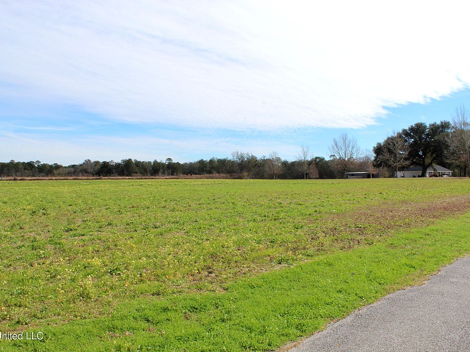 2nd image of Yellow Bluff Rd