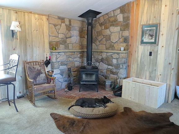 Wood Burning Stove
