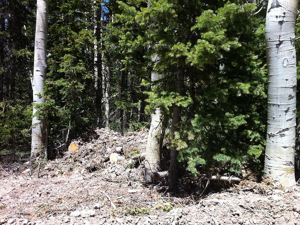 1st image of 329 N Scenic Dr
