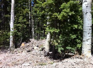 329 N Scenic Dr, Brian Head, UT 84719