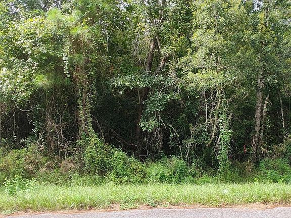 3rd image of 0 Boykin Blvd