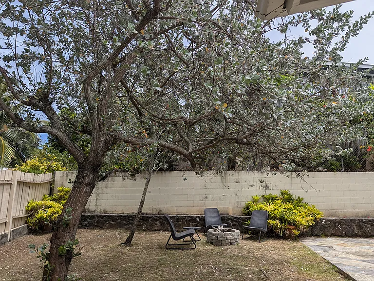 Backyard with fire pit