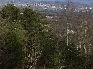 5 Woodpecker Ridge Ln, Asheville, NC 28806