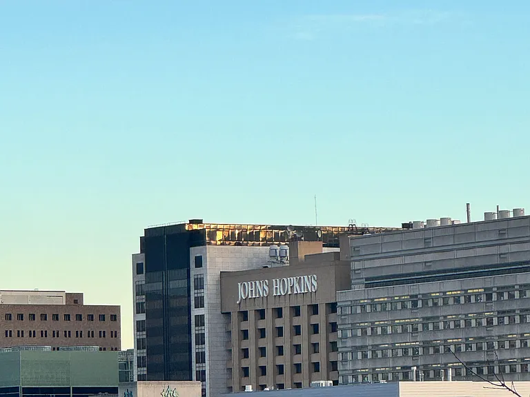 View of the Johns Hopkins from the house