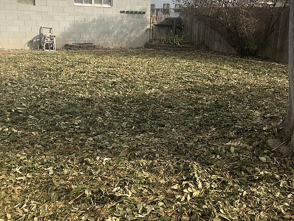 5th image of 1446 W Lee St