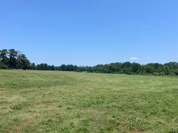 22173 State Highway 135, Troup, TX 75789