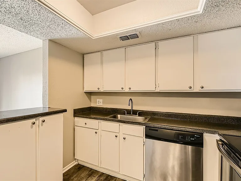 Rise Spring Pointe — Photo 90