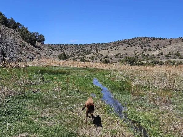 0 Wilcox Ranch Rd, Reno, NV 89510